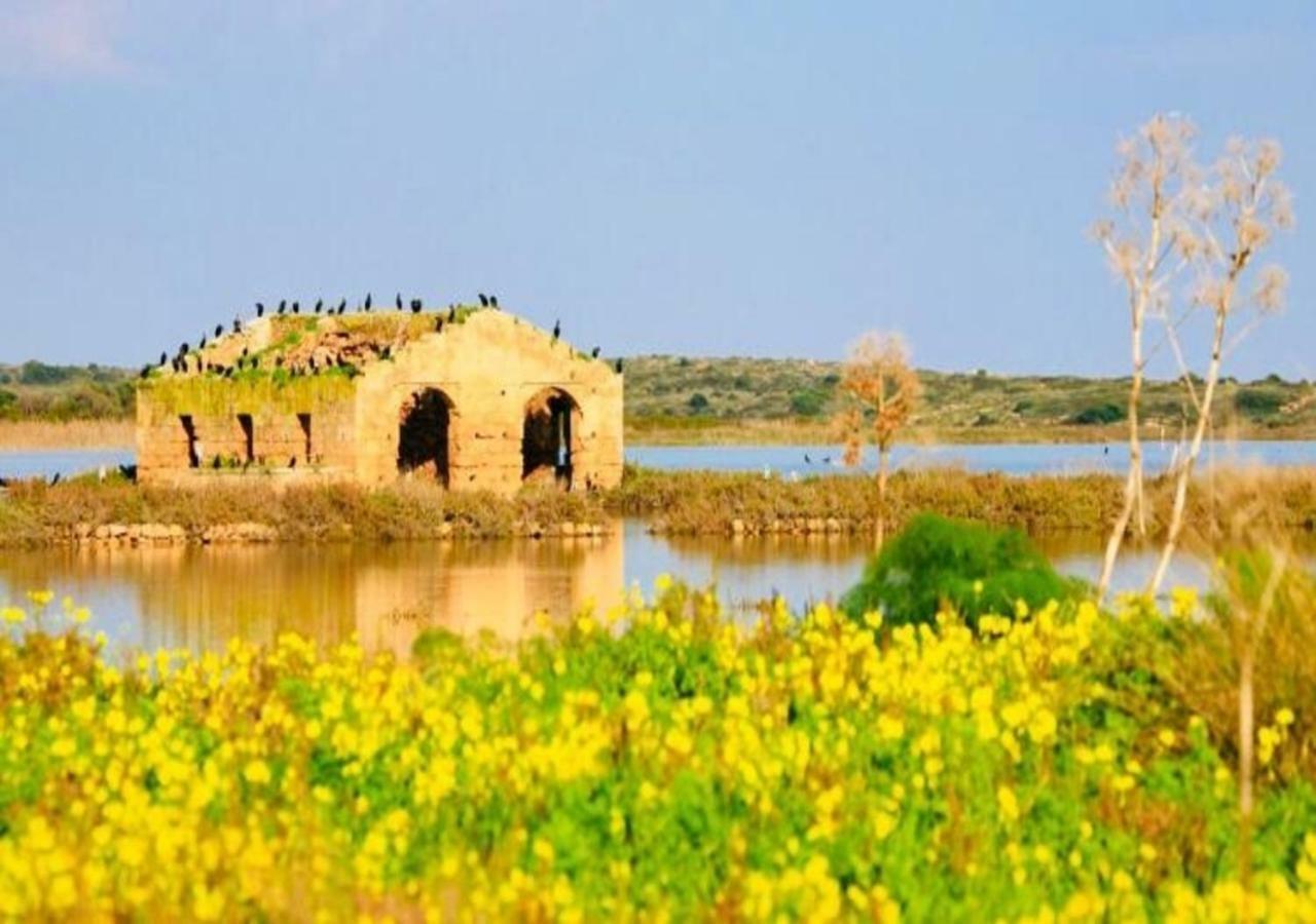 The Stone Garden Διαμέρισμα Νότο Εξωτερικό φωτογραφία